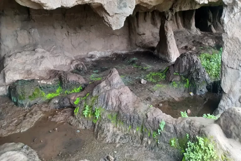 How to Reach Aurangabad Caves 2026 – Complete Transport Guide