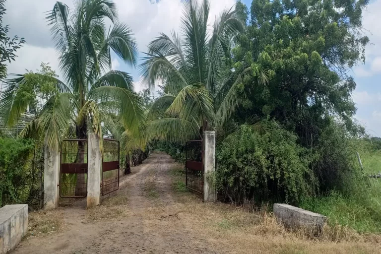 Free Things to Do in Aurangabad (2026 Local Guide)